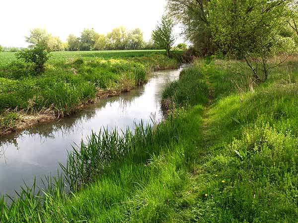 El río, a la altura de Vivar del Cid, cerca ya de su desembocadura en el Arlanzón.