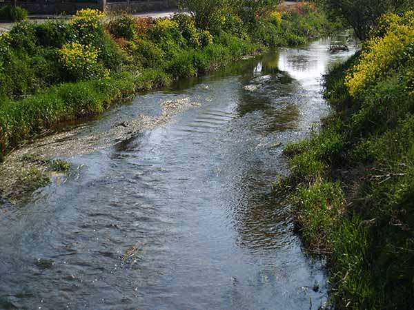 El río Ubierna, a su paso por Sotopalacios.