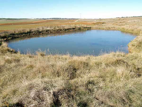 La Calentona es una de las lagunas kársticas que hay en el término de Masa.