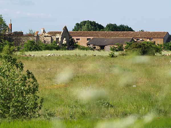 La Granja de Las Mijaradas se halla al norte de los montes que se extienden por Hurones.