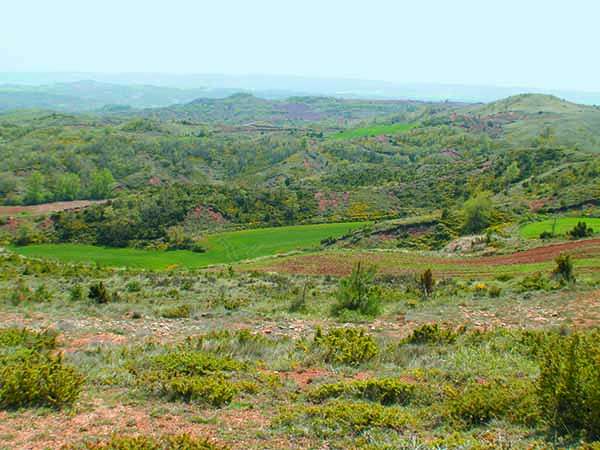 Paisaje característico de las Torcas.