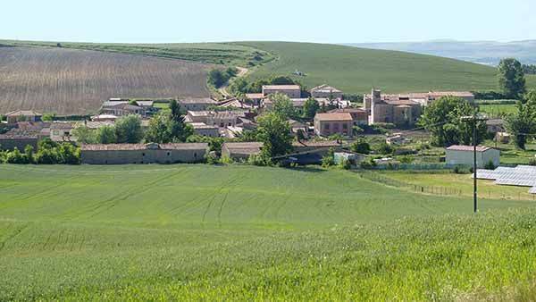 Vista panorámica de Celada de la Torre, rodeada de campos de cultivo.