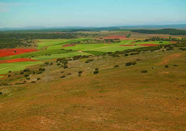 En primavera, el Páramo de Masa se tiñe de color y se convierte en un paisaje de gran belleza.