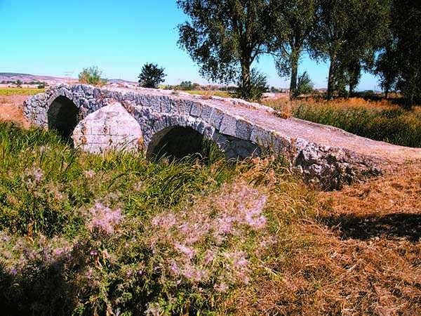 Puente medieval sobre el Ubierna.