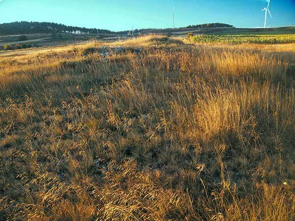 Paraje del término de Fresno de Rodilla en el que se localiza el Túmulo de La Brújula.